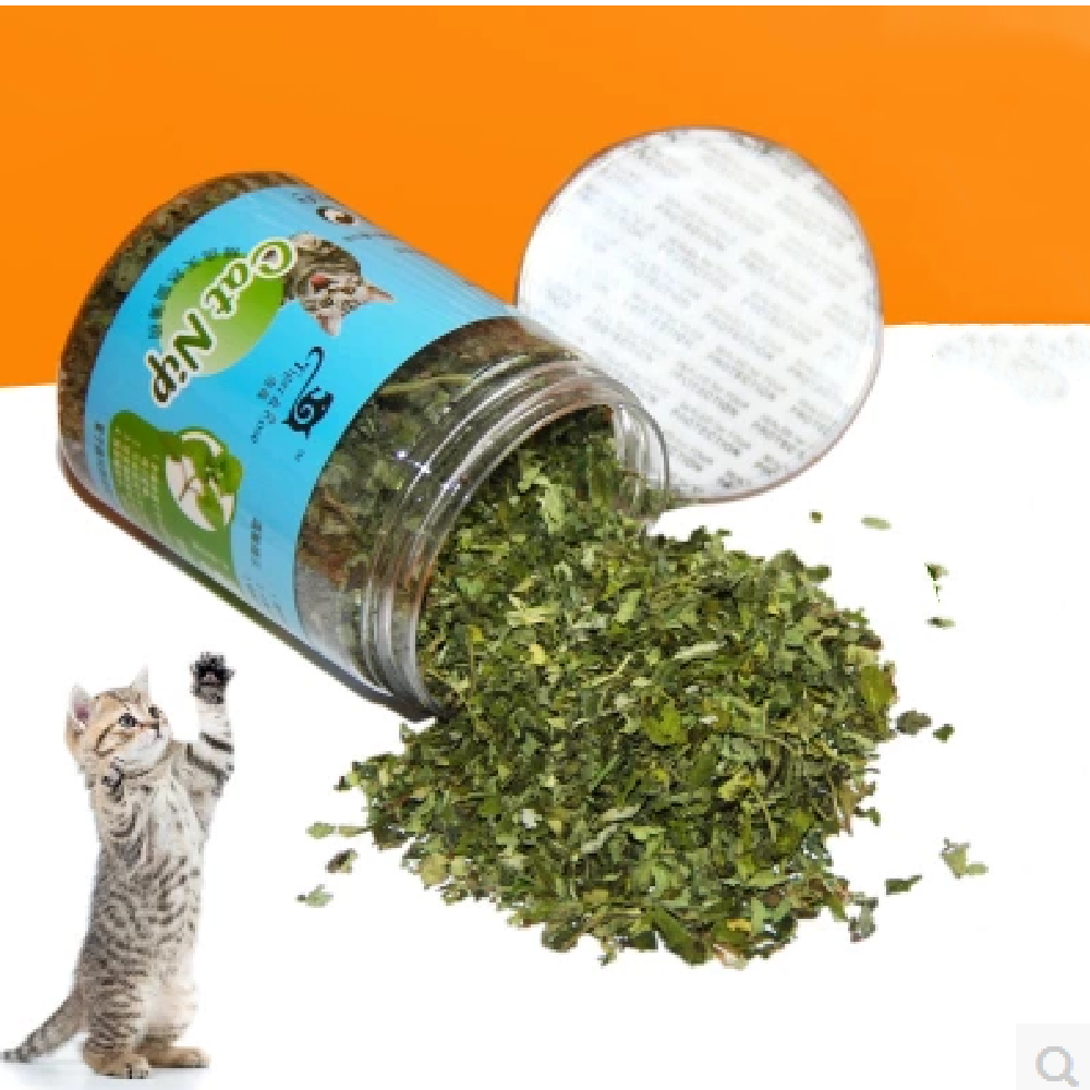 Cat Food Snack Hairball Catnip Snacks Regulate Stomach And Intestines